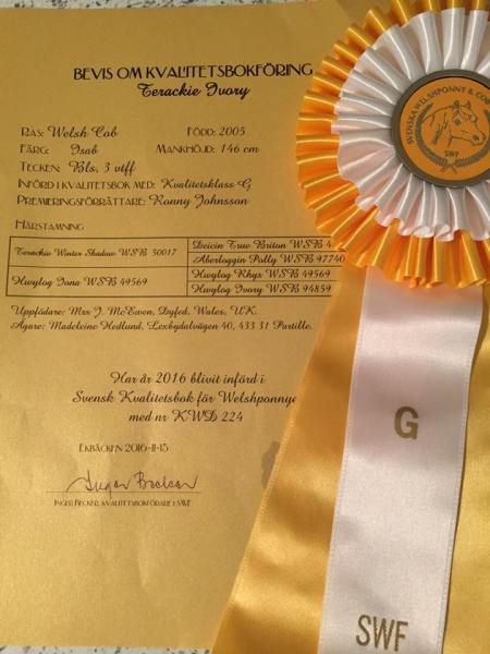 15284856_1178560198847513_5696229358561413597_n